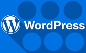 wordpress电商必备插件推荐-提升你的在线商店效率与销量