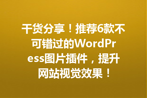 干货分享！推荐6款不可错过的WordPress图片插件，提升网站视觉效果！