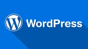 从小白到高手：完全掌握WordPress快速建站教程！