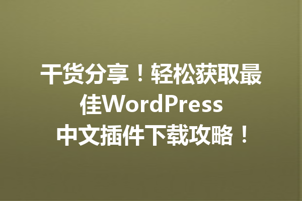 干货分享！轻松获取最佳WordPress中文插件下载攻略！