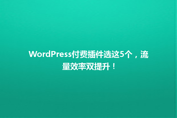 WordPress付费插件选这5个,流量效率双提升!1