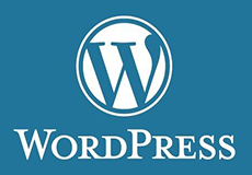用这个WordPress插件，让你的网站天气预报生动有趣！ 三