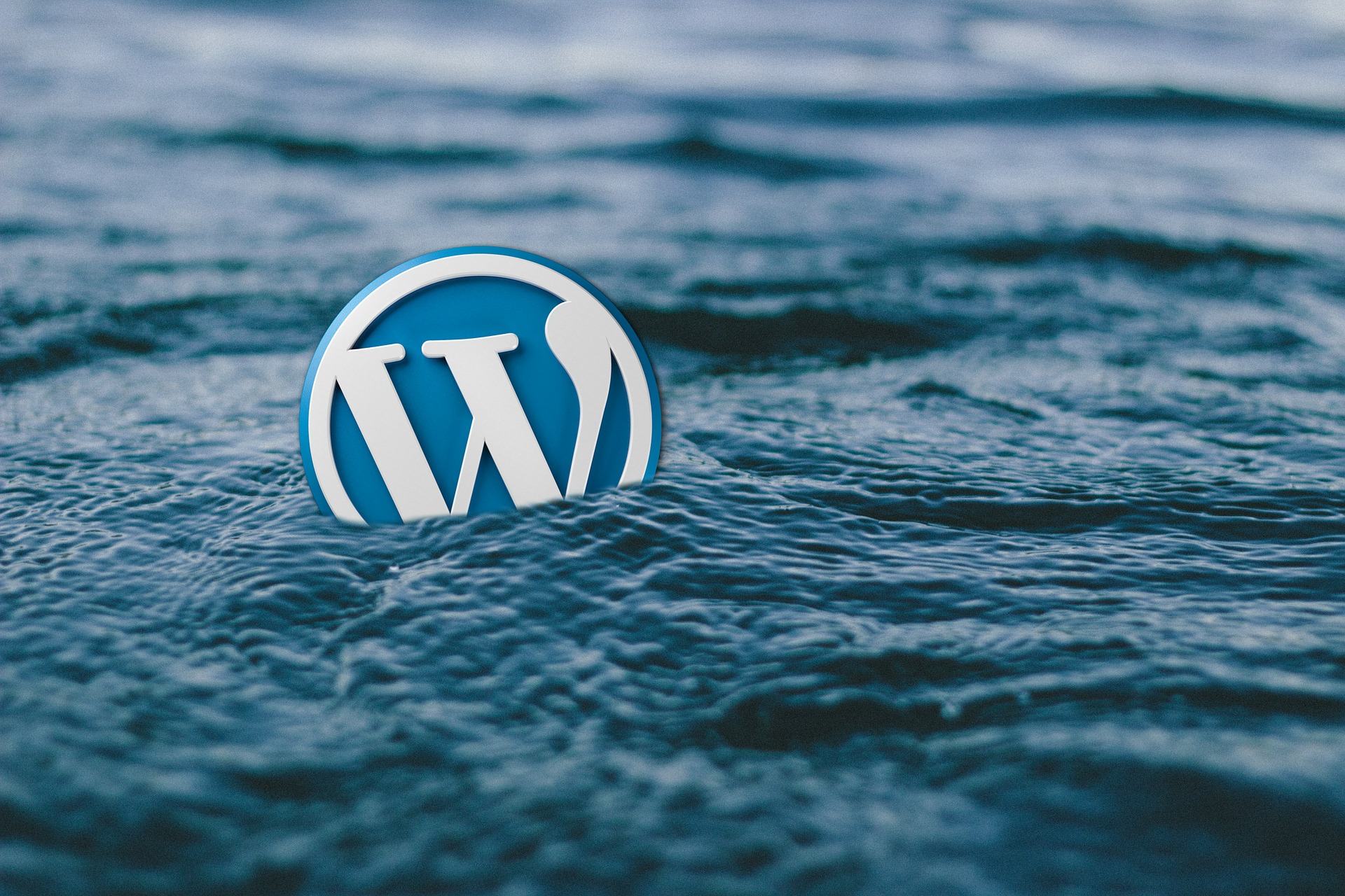 轻松掌握这套WordPress B端建站教程，快速提升网站制作水平 二