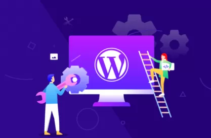 WordPress开发入门视频教程，新手必看技巧三天搭建专业网站 三