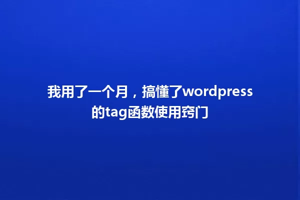 我用了一个月,搞懂了wordpress的tag函数使用窍门 一
