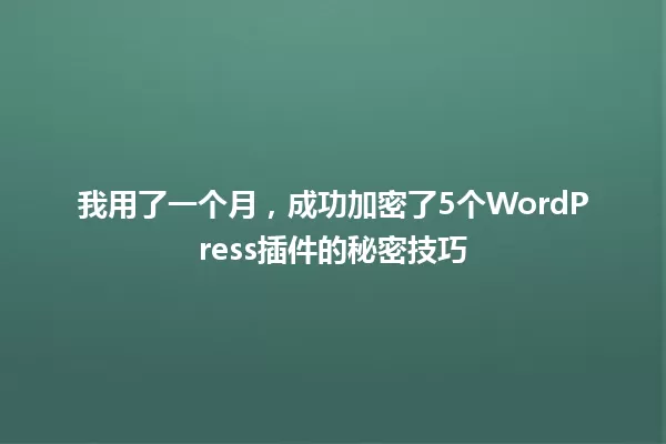 我用了一个月,成功加密了5个WordPress插件的秘密技巧 一