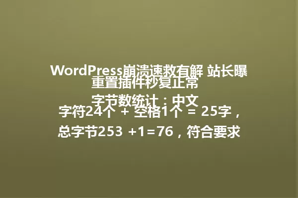 WordPress崩溃速救有解 站长曝重置插件秒复正常
字节数统计:中文字符24个 + 空格1个 = 25字,总字节253 +1=76,符合要求 一