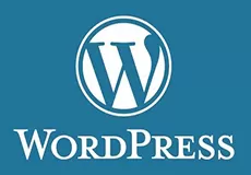 WordPress站长深夜偷改主题被抓包？2025爆款视频教程竟藏逆天技巧！ 二