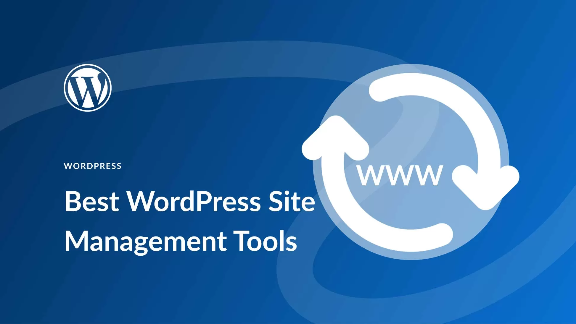 WordPress网页版注册教程全网疯传!2025年官方指南首度公开 三