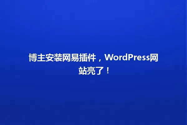 博主安装网易插件,WordPress网站亮了! 一
