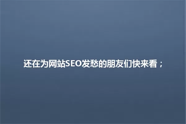 还在为网站SEO发愁的朋友们快来看; 一