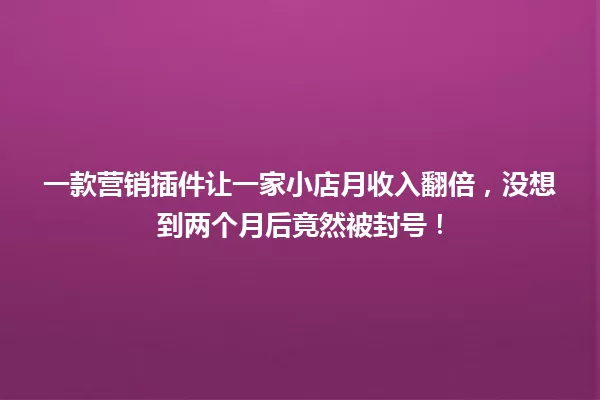 一款营销插件让一家小店月收入翻倍,没想到两个月后竟然被封号! 一