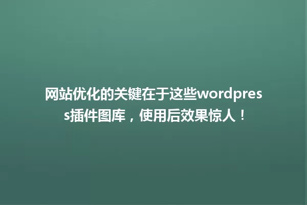 网站优化的关键在于这些wordpress插件图库,使用后效果惊人! 一