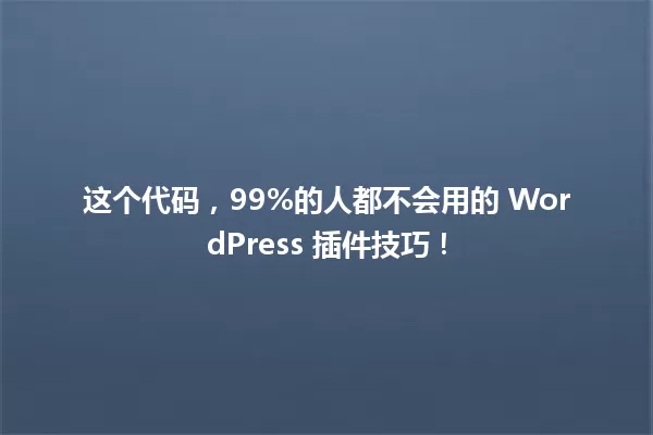 这个代码，99%的人都不会用的 WordPress 插件技巧！ 一