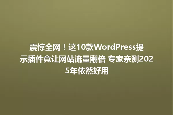 震惊全网!这10款WordPress提示插件竟让网站流量翻倍 专家亲测2025年依然好用 一