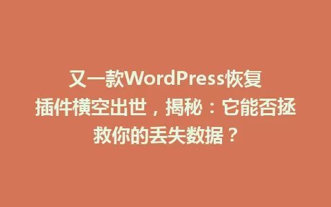又一款WordPress恢复插件横空出世,揭秘:它能否拯救你的丢失数据? 一