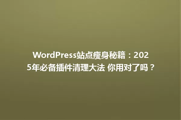 WordPress站点瘦身秘籍:2025年必备插件清理大法 你用对了吗? 一