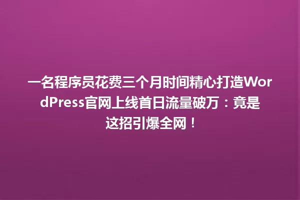 一名程序员花费三个月时间精心打造WordPress官网上线首日流量破万：竟是这招引爆全网！ 一