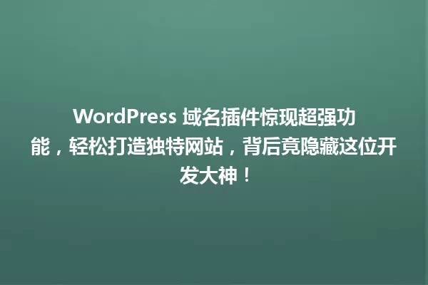WordPress 域名插件惊现超强功能,轻松打造独特网站,背后竟隐藏这位开发大神! 一