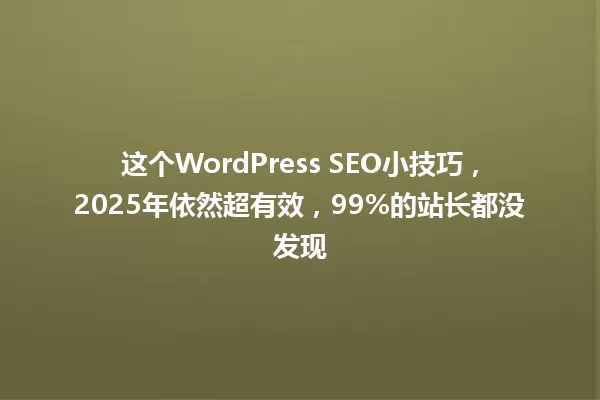 这个WordPress SEO小技巧,2025年依然超有效,99%的站长都没发现 一