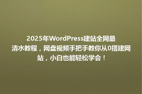 2025年WordPress建站全网最清水教程，网盘视频手把手教你从0搭建网站，小白也能轻松学会！ 一