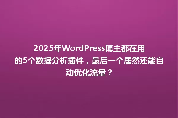 2025年WordPress博主都在用的5个数据分析插件，最后一个居然还能自动优化流量？ 一