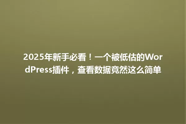 2025年新手必看!一个被低估的WordPress插件,查看数据竟然这么简单 一