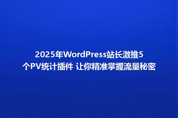 2025年WordPress站长激推5个PV统计插件 让你精准掌握流量秘密 一