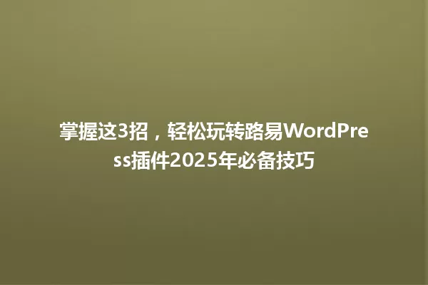 掌握这3招，轻松玩转路易WordPress插件2025年必备技巧 一