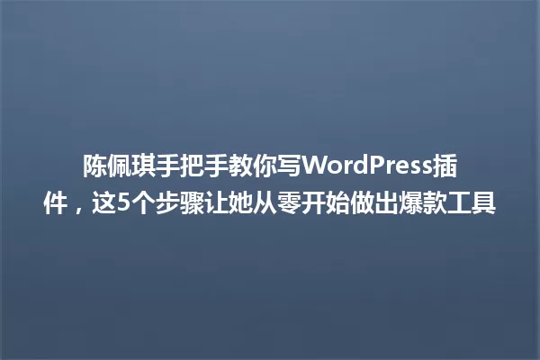 陈佩琪手把手教你写WordPress插件，这5个步骤让她从零开始做出爆款工具 一
