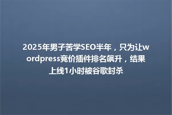 2025年男子苦学SEO半年，只为让wordpress竞价插件排名飙升，结果上线1小时被谷歌封杀 一