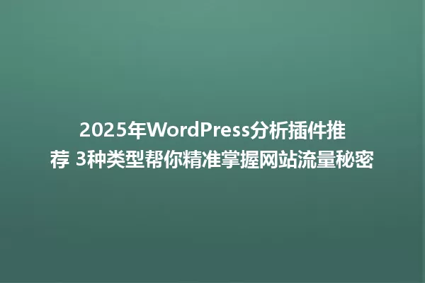 2025年WordPress分析插件推荐 3种类型帮你精准掌握网站流量秘密 一