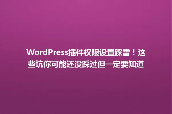 WordPress插件权限设置踩雷！这些坑你可能还没踩过但一定要知道 一