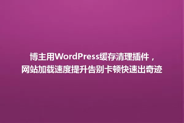 博主用WordPress缓存清理插件，网站加载速度提升告别卡顿快速出奇迹 一