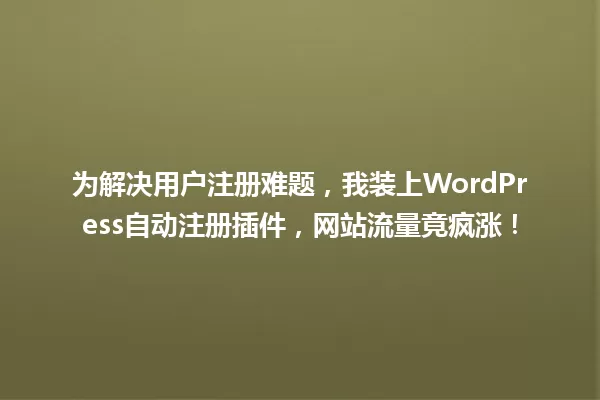 为解决用户注册难题，我装上WordPress自动注册插件，网站流量竟疯涨！  一