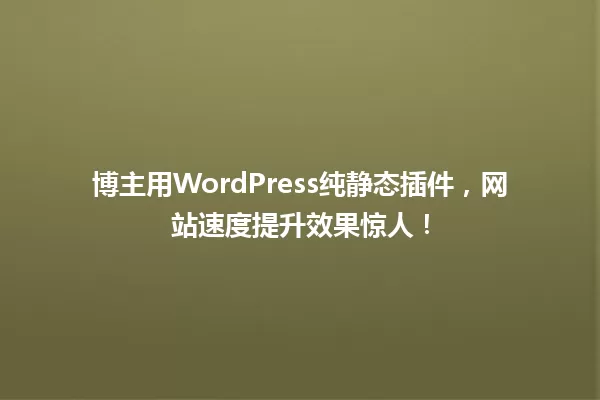 博主用WordPress纯静态插件,网站速度提升效果惊人! 一