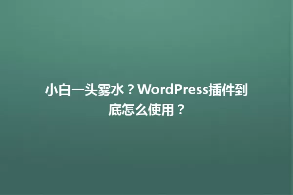 小白一头雾水？WordPress插件到底怎么使用？ 一