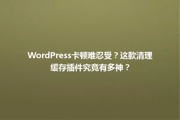 WordPress卡顿难忍受？这款清理缓存插件究竟有多神？  一
