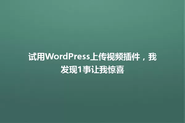 试用WordPress上传视频插件，我发现1事让我惊喜 一