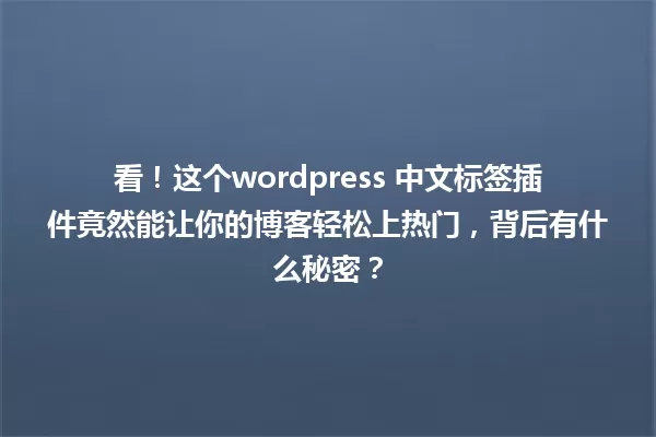 看!这个wordpress 中文标签插件竟然能让你的博客轻松上热门,背后有什么秘密? 一