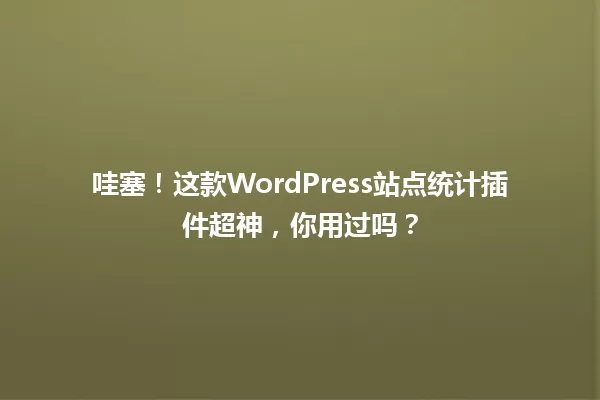 哇塞！这款WordPress站点统计插件超神，你用过吗？  一