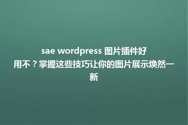 sae wordpress 图片插件好用不?掌握这些技巧让你的图片展示焕然一新 一