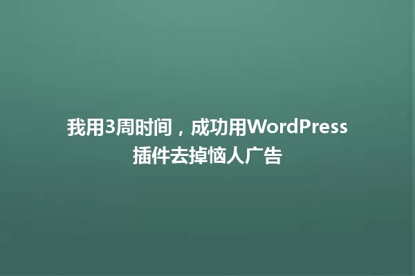 我用3周时间，成功用WordPress插件去掉恼人广告 一