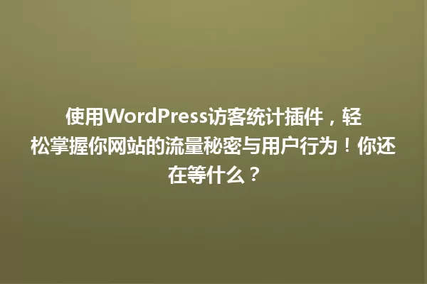 使用WordPress访客统计插件,轻松掌握你网站的流量秘密与用户行为!你还在等什么? 一
