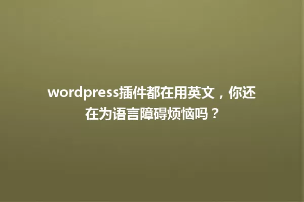 wordpress插件都在用英文，你还在为语言障碍烦恼吗？ 一
