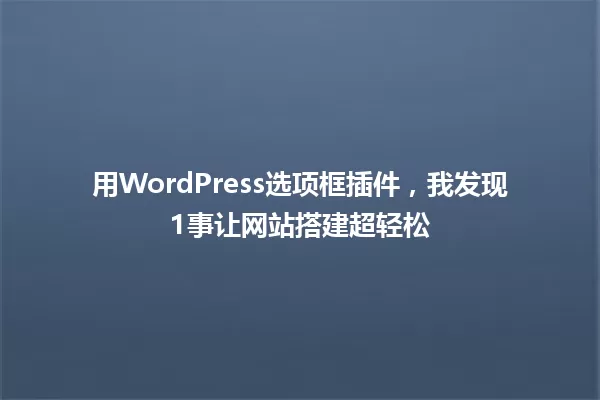 用WordPress选项框插件,我发现1事让网站搭建超轻松 一