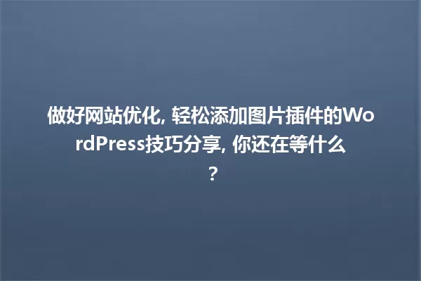 做好网站优化, 轻松添加图片插件的WordPress技巧分享, 你还在等什么? 一