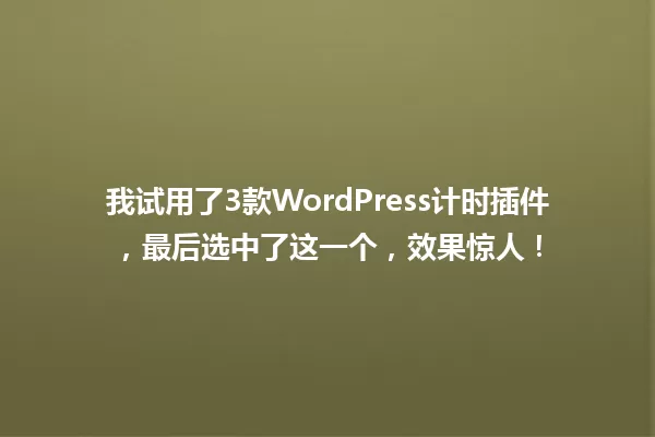 我试用了3款WordPress计时插件，最后选中了这一个，效果惊人！ 一