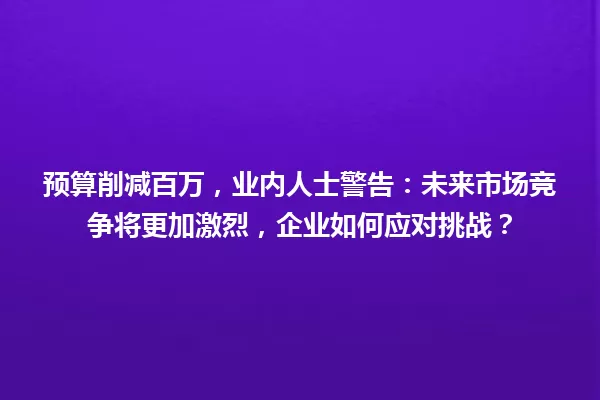 预算削减百万,业内人士警告:未来市场竞争将更加激烈,企业如何应对挑战? 一