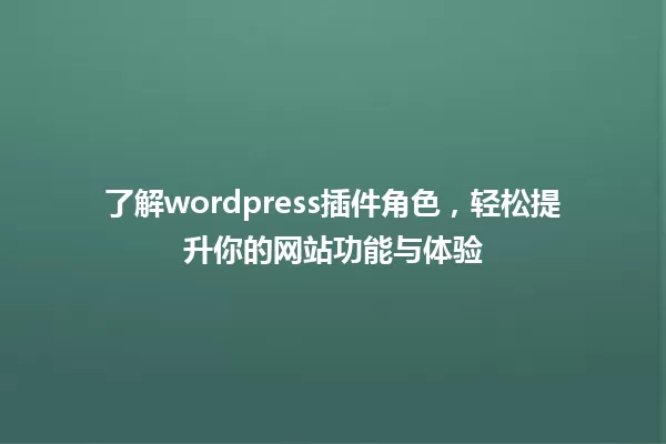 了解wordpress插件角色，轻松提升你的网站功能与体验 一